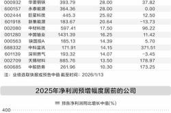 超140家公司披露年度业绩预告 19家实现净利润翻倍