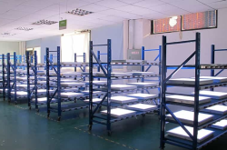 思奥特智能科技视觉光源CRT：条形光源、方形光源，精选源头工厂技术解析