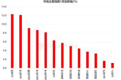 开年首月A股盘点：个股平均上涨7.8% 科创、中盘成关键点 红利资产跑输市场