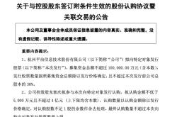 转型算力仍深陷亏损泥潭，平治信息拟定增不超10亿元继续加码，董事长“买单”最高4亿元