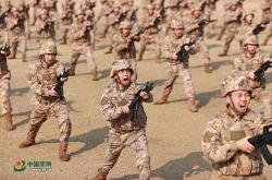 70余本教范成为训练“百科全书”