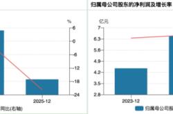 17亿元销售费用难救滞销“神药”：中成药龙头净利腰斩，董事长总裁提前离场