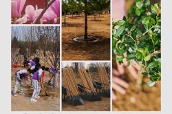 时政新闻眼丨在首都义务植树活动现场，习近平强调这件利国利民的大事