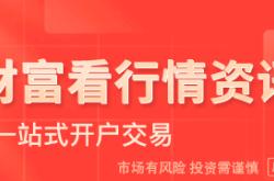 一天跳涨2000元！中东战火“点燃”化纤板块 多股业绩有望高增长