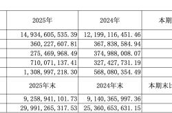 财报透视｜扣非大增净利下滑：东阳光栽在“炒股”上 ，公允价值变动损益亏超6亿