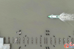 上海海警局：科技赋能立体管海 海域综合治理效能持续提升