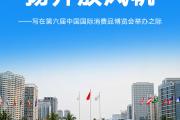 写在第六届中国国际消费品博览会举办之际