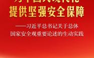 为中国式现代化提供坚强安全保障——习近平总书记关于总体国家安全观重要论述的生动实践