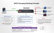 DHCP Snooping在工业以太网中的作用与部署要点