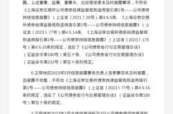 正荣地产被出具警示函，涉多项信披违规