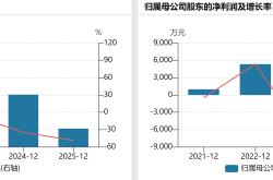 财说| 宣亚国际连亏三年，AI转型难解近渴