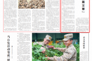 营连日志丨年轻官兵想要快速成长 主官需要这样做