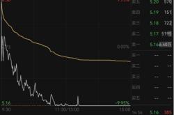 4810万股打板抢筹华塑控股 一天血亏20%！