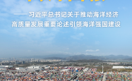 守护蔚蓝 向海图强——习近平总书记关于推动海洋经济高质量发展重要论述引领海洋强国建设