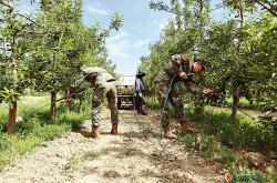 内蒙古五原县组织民兵接力治沙三十载