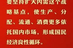 总书记的人民情怀｜“让内需成为经济发展的主动力”