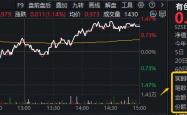 CPI+PPI+非农三重降温，加息预期骤减！稀土“低量高价”增厚利润，华宝基金有色ETF劲涨1%获净申购3120万份
