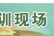 海军某支队探索集约化组训新模式，让有限资源释放更大效能