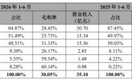 汇兑损失“吞噬”3872万元利润 利亚德半年报净利降六成 智能显示业务营收下滑两成