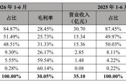 汇兑损失“吞噬”3872万元利润 利亚德半年报净利降六成 智能显示业务营收下滑两成