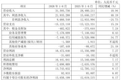 南京银行中报：利息净收入增超40%，中收、投资收益负增长