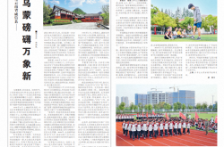 军嫂身边有个“帮帮团”