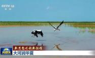 新思想引领新征程丨大河润华夏