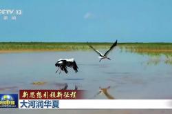 新思想引领新征程丨大河润华夏
