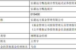 弘毅远方甄选混合增聘王哲宇